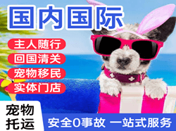 东极空运国际宠物托运 【国